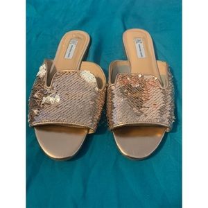 Reversible sequin slides
